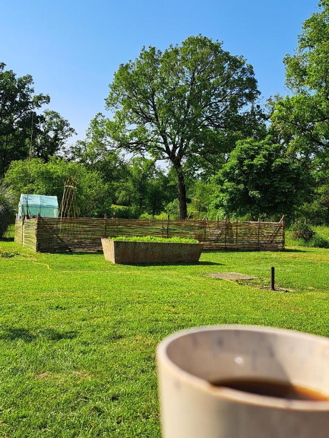 Bed and Breakfast Chez Nous Brigueuil-le-Chantre Exterior foto